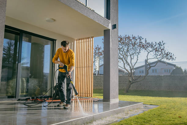 Best Roof Washing  in Carpendale, WV